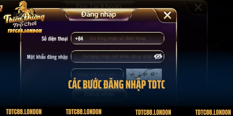 Các bước đăng nhập TDTC