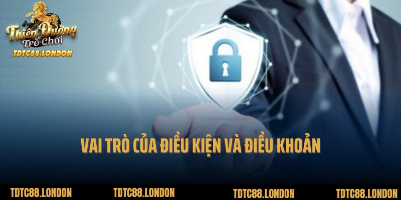 Vai trò của điều kiện và điều khoản
